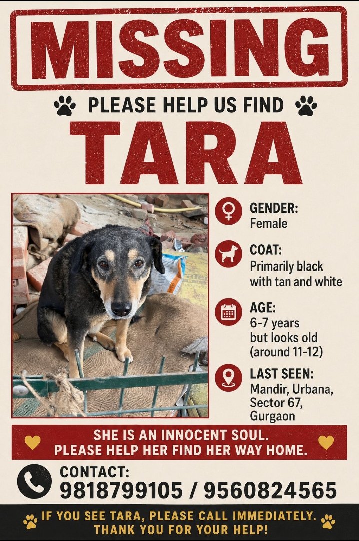 Missing Dog, help needed