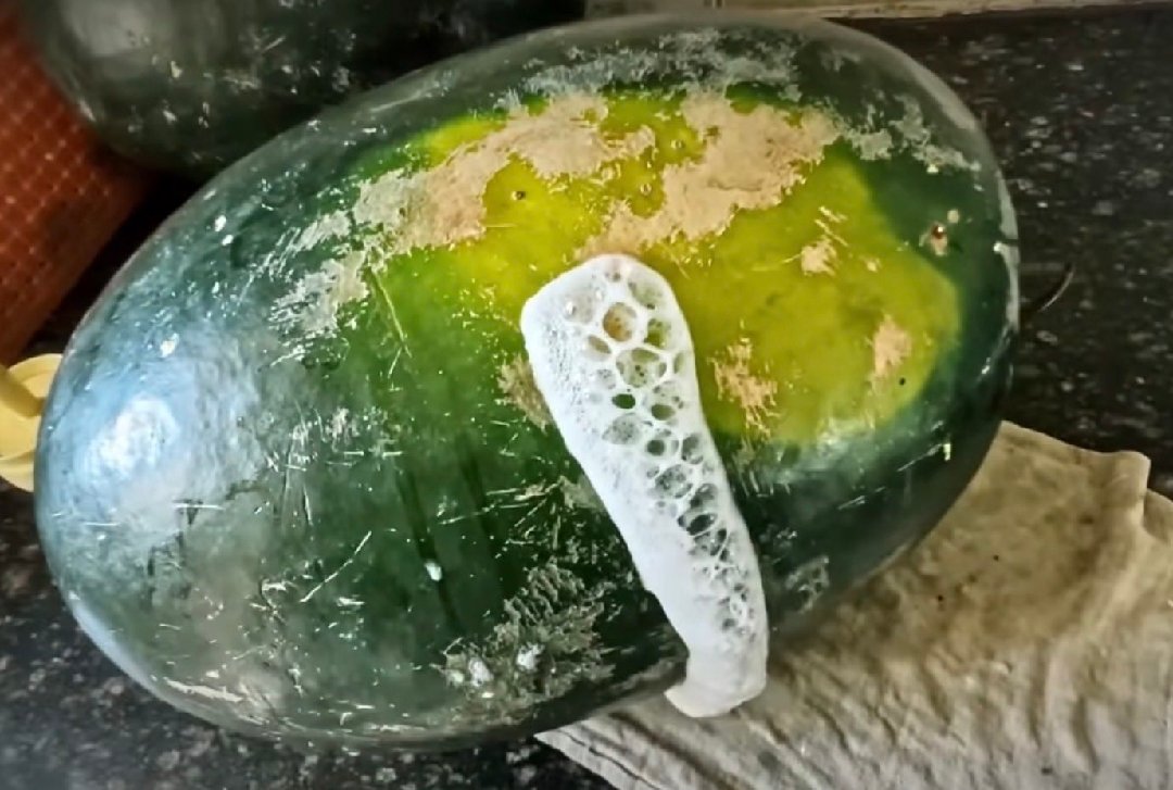 watermelons are not safe, foam coming out