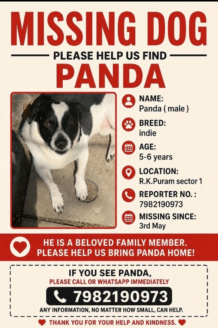 Missing Dog