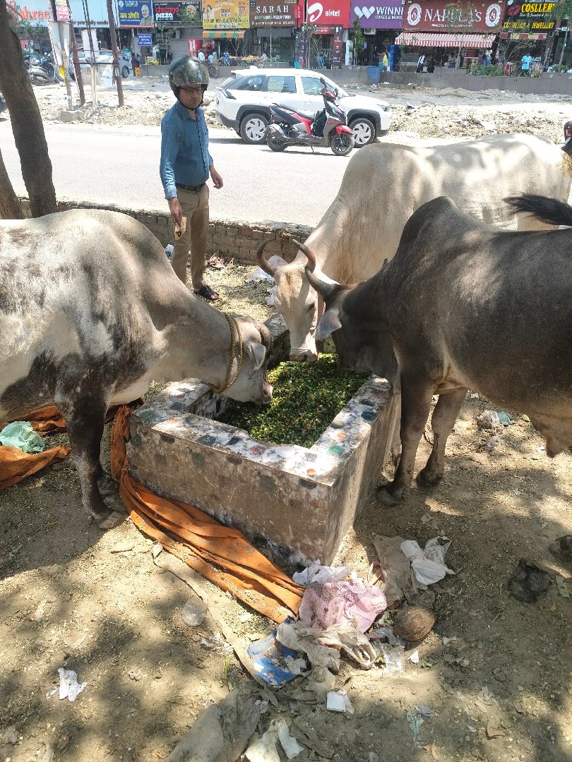 Today's feed siddarth vihar