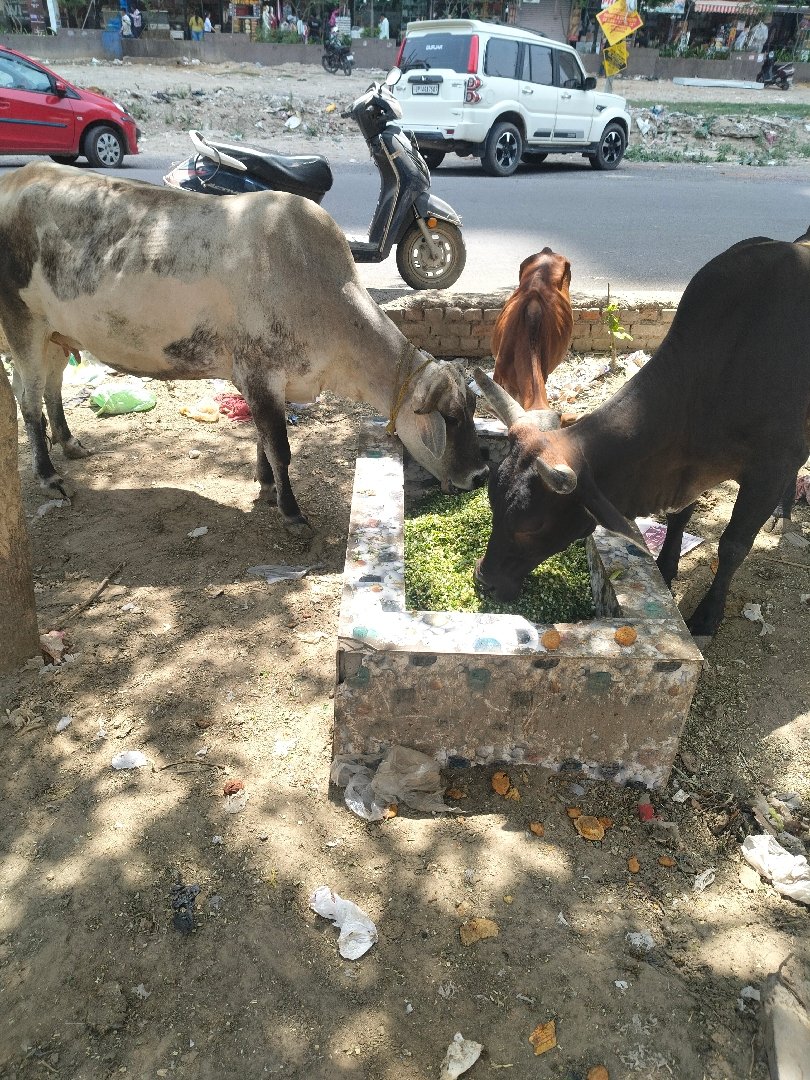 today's feed siddarth vihar