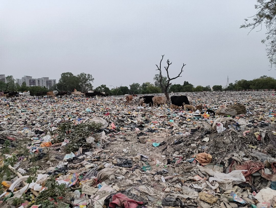 Kanawni village garbage landfill