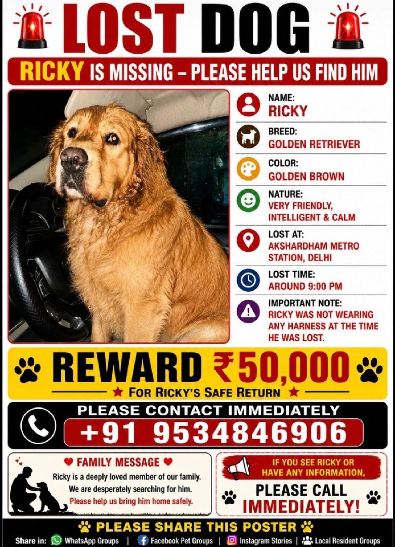 Missing Dog