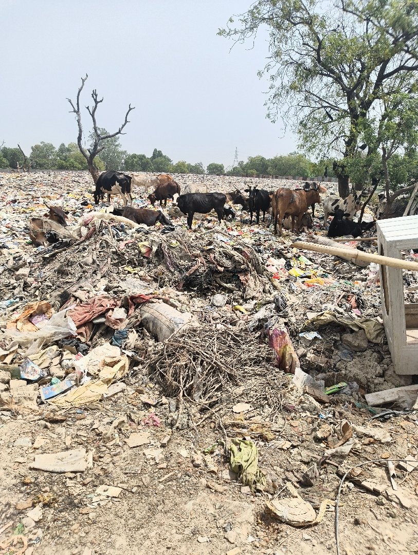 Kanawni village waste landfill