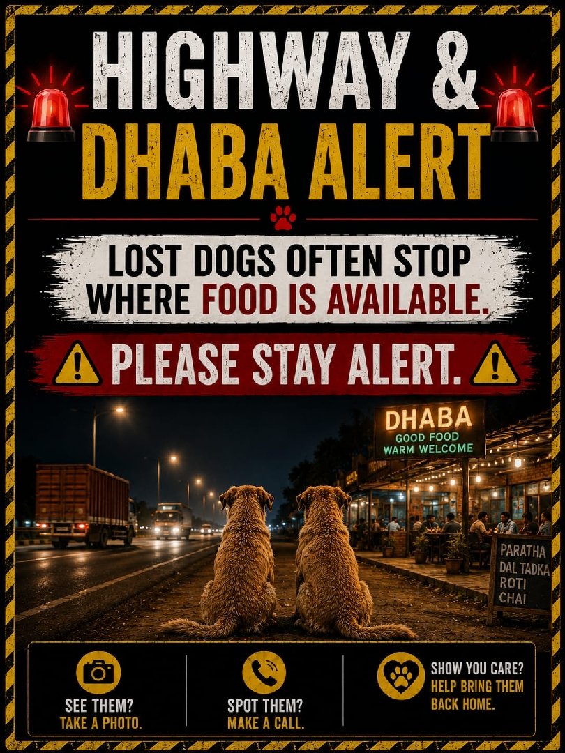 dogs missing